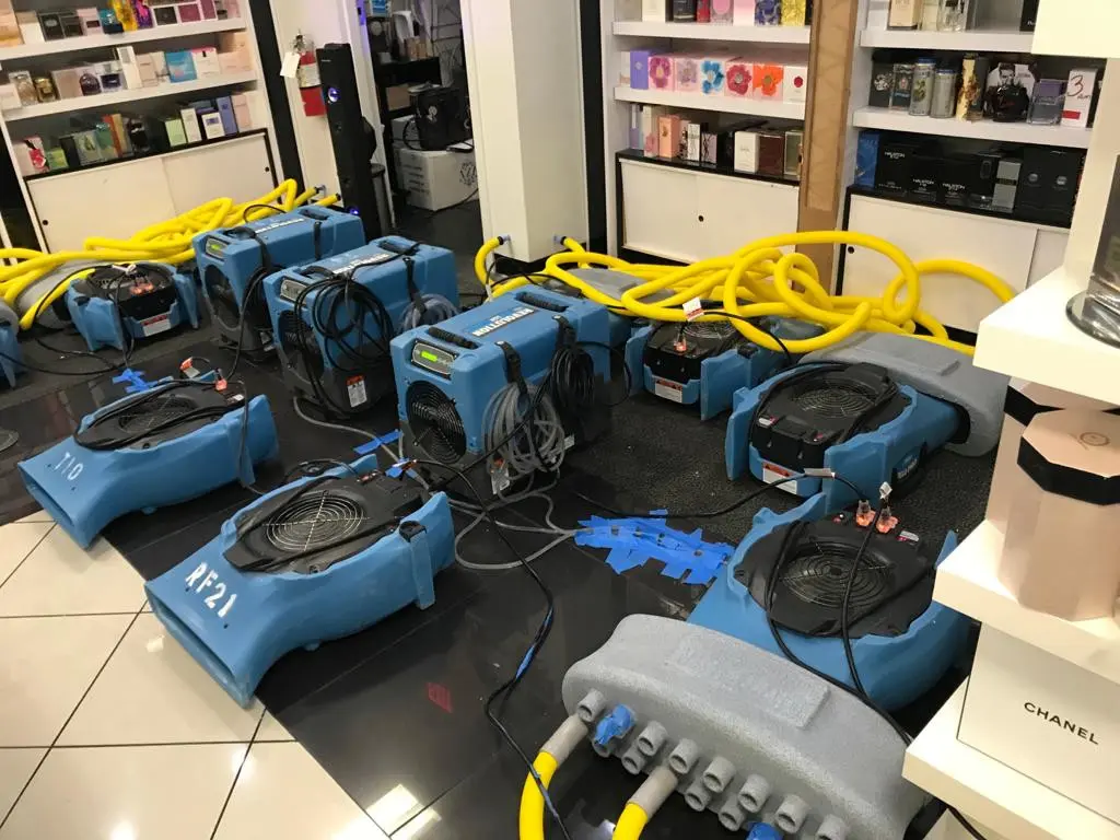 Royal Damage Restoration & Mold Remediation. #1 Rated in Broward, Palm Beach & Lee Counties | Highest Standard Of Quality Restoration Services specialist